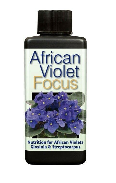 Growth Technology African Violet Focus