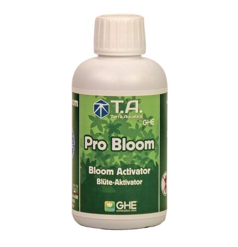 T.A-Pro Bloom