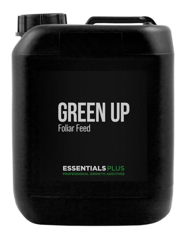 Essentials PLUS Green Up