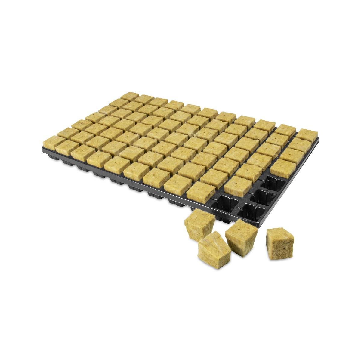 Cultiwool Cubes 77 Tray