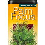 Growth Technology Palm Tree Focus