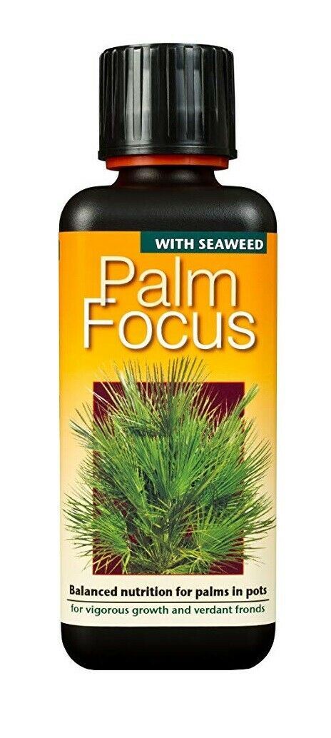 Growth Technology Palm Tree Focus