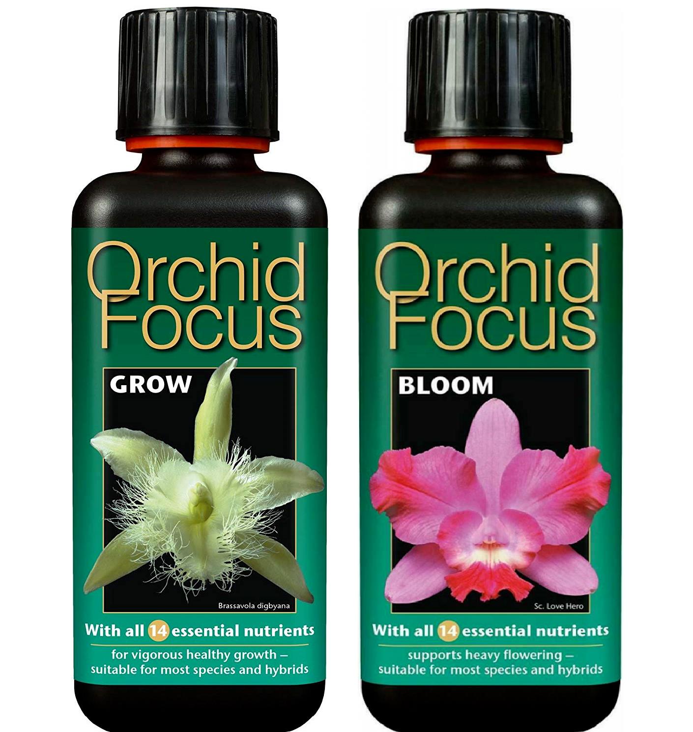 Growth Technology Orchid Focus Grow & Bloom