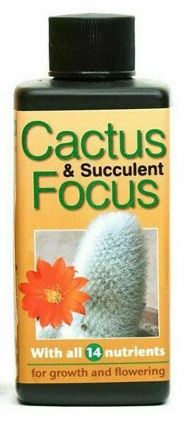 Growth Technology Cactus Focus