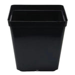 Black Square Pot