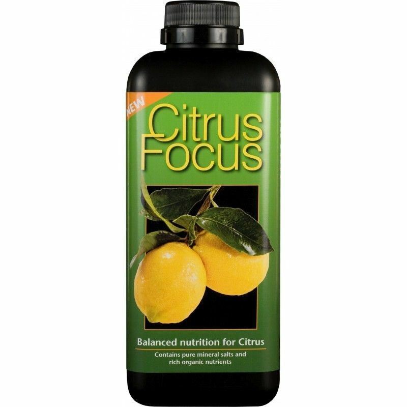 Growth Technology Citrus Focus