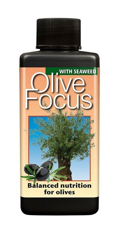 Growth Technology Olive Focus