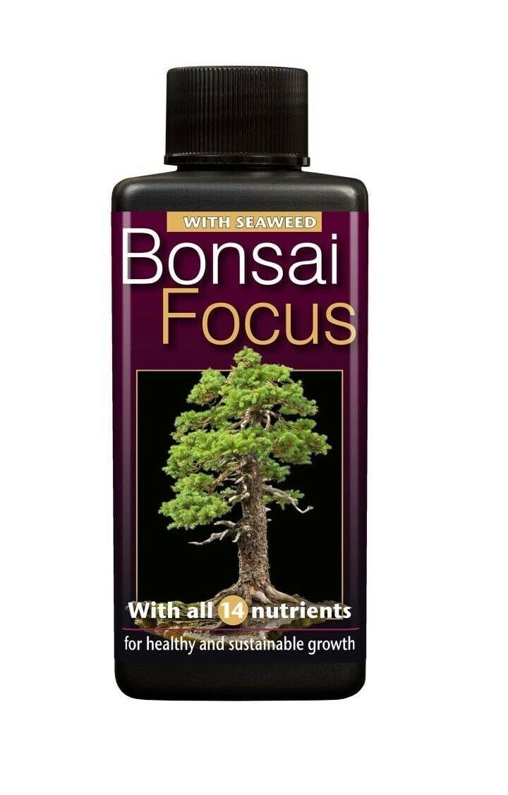 Growth Technology Bonsai Focus