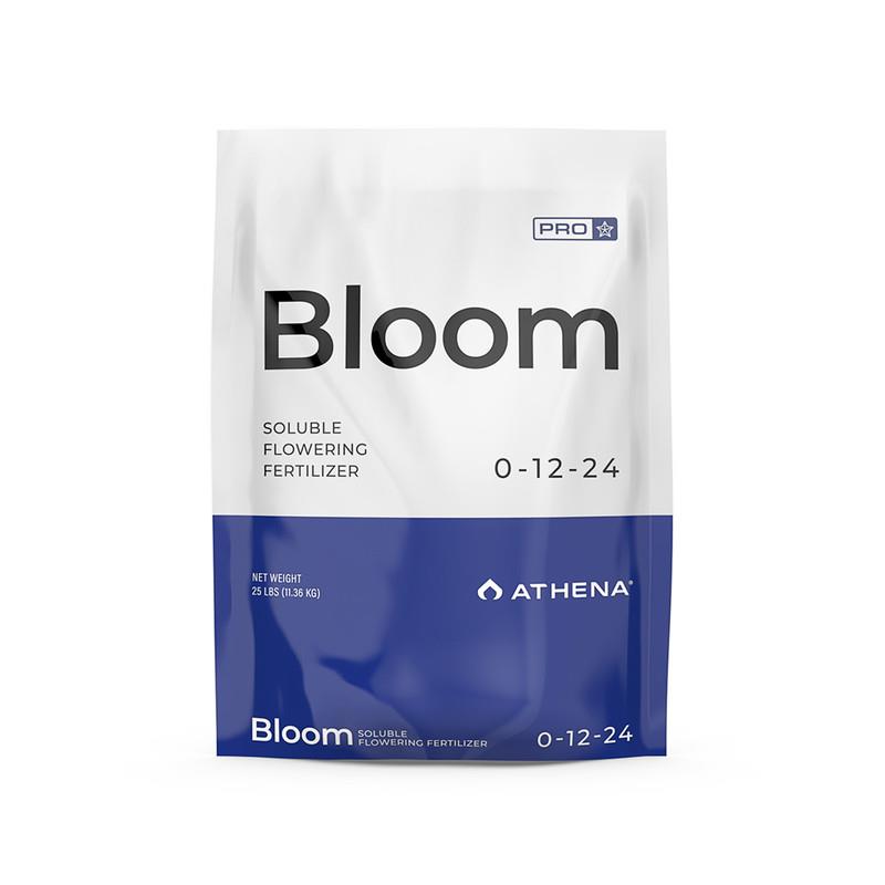 Athena - Pro Line - Bloom