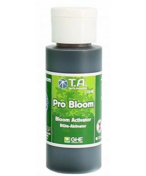 T.A-Pro Bloom
