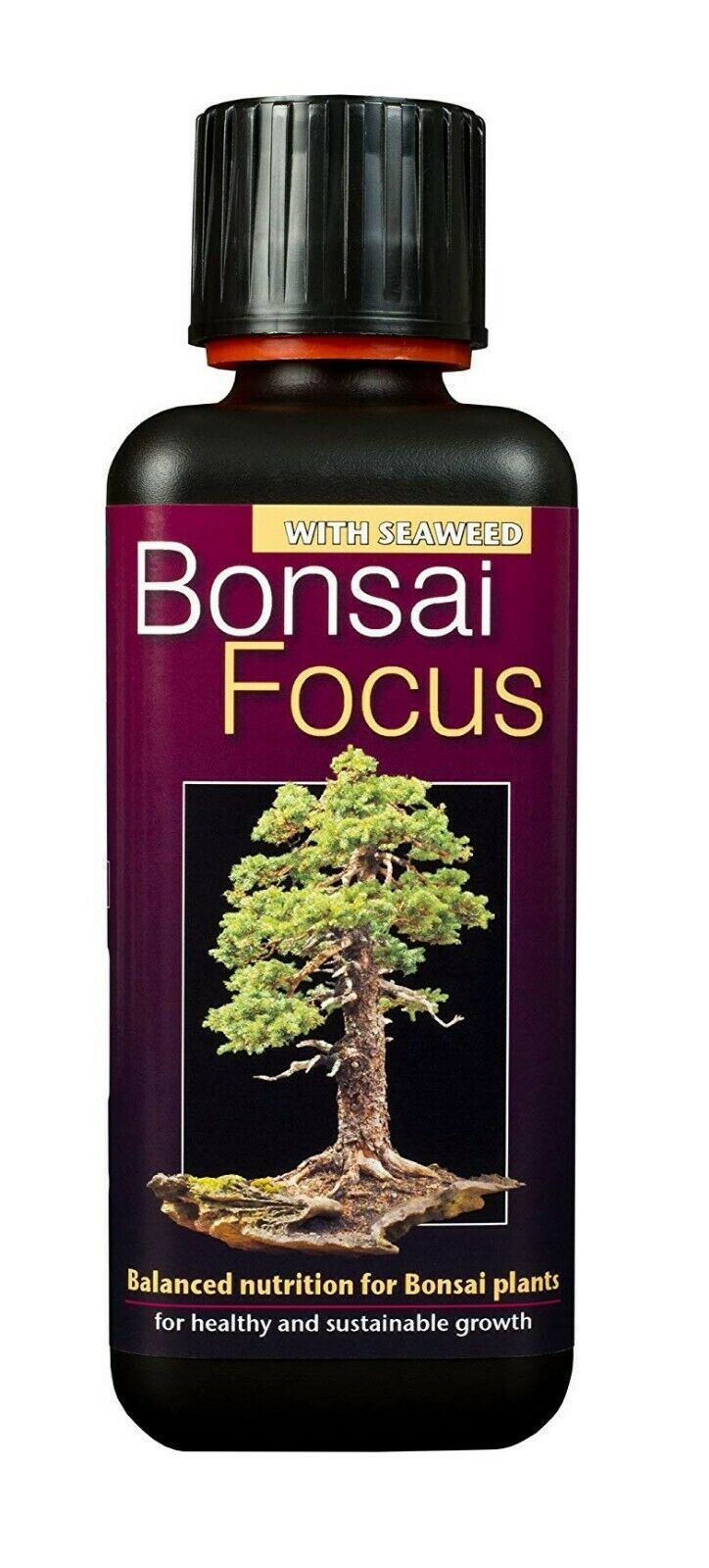 Growth Technology Bonsai Focus