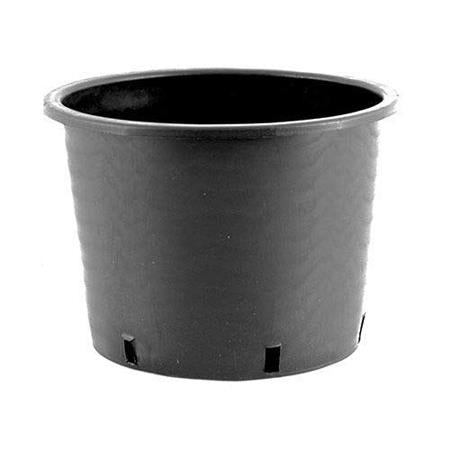 Senua Round plastic pot