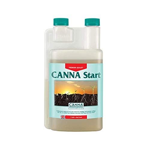 Canna Vega Start