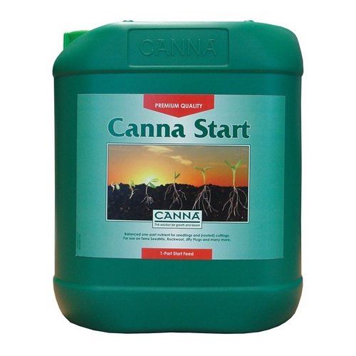 Canna Vega Start