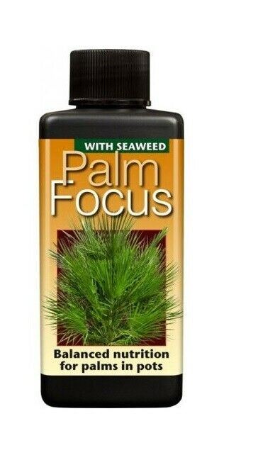 Growth Technology Palm Tree Focus
