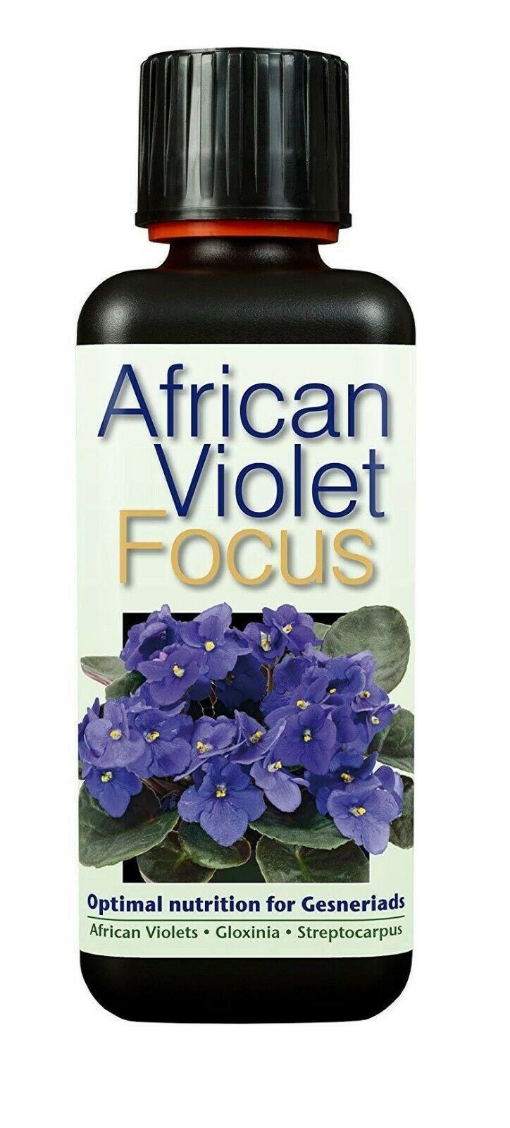 Growth Technology African Violet Focus