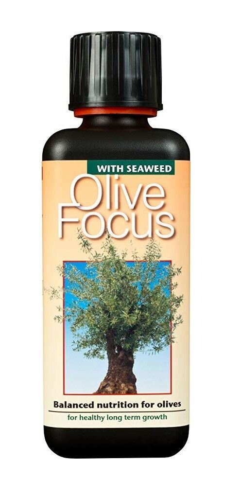 Growth Technology Olive Focus