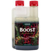 Canna Boost Accelerator