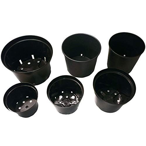 Senua Round plastic pot