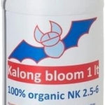 Guanokalong Kalong Bloom