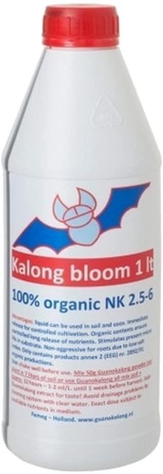 Guanokalong Kalong Bloom