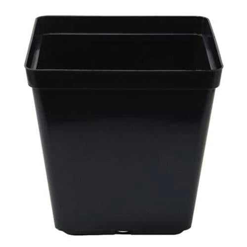 Black Square Pot