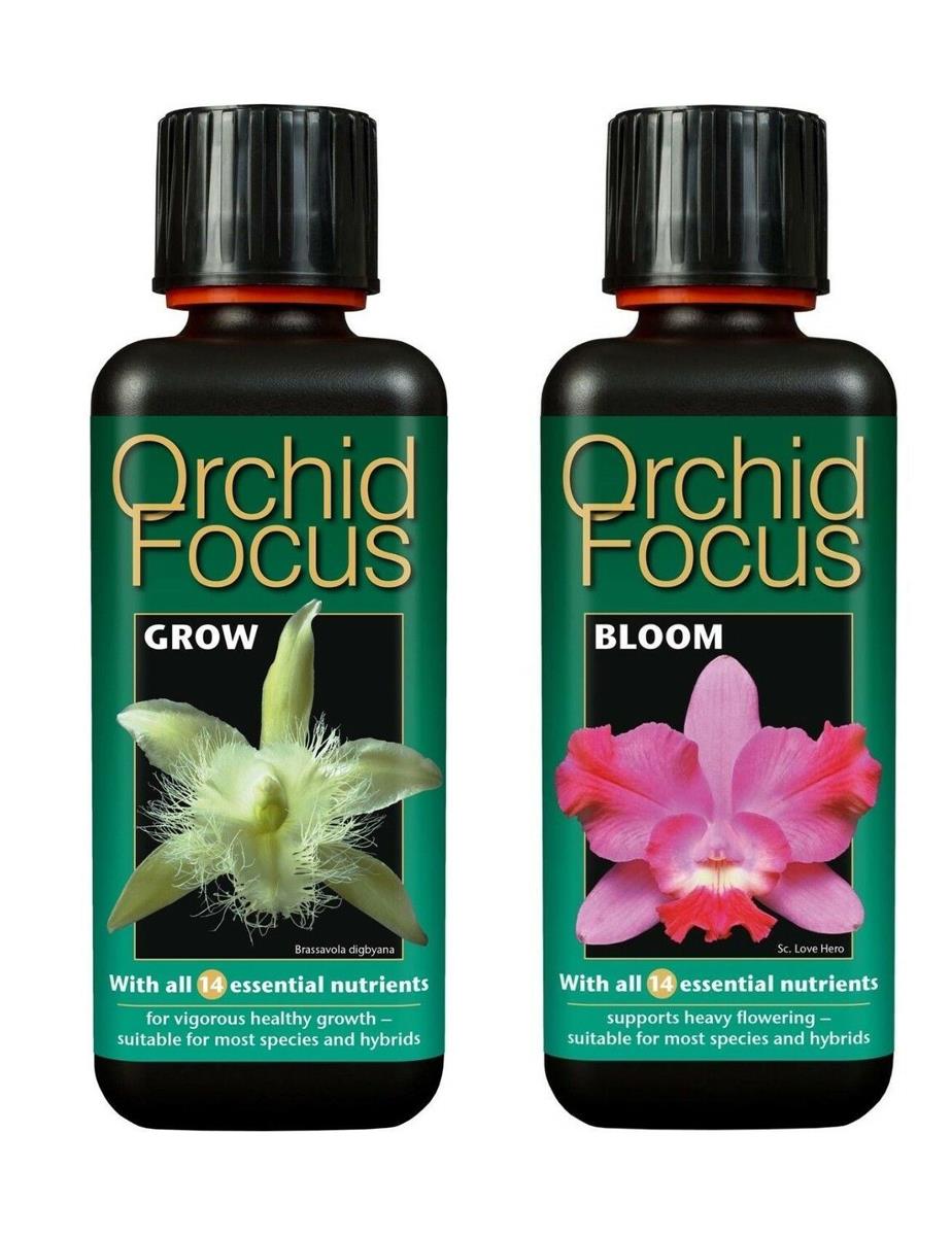 Growth Technology Orchid Focus Grow & Bloom