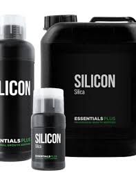 Essentials Plus Silicon