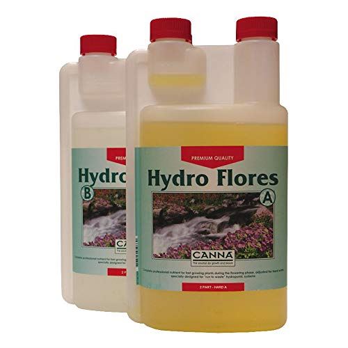 Canna Hydro Flores