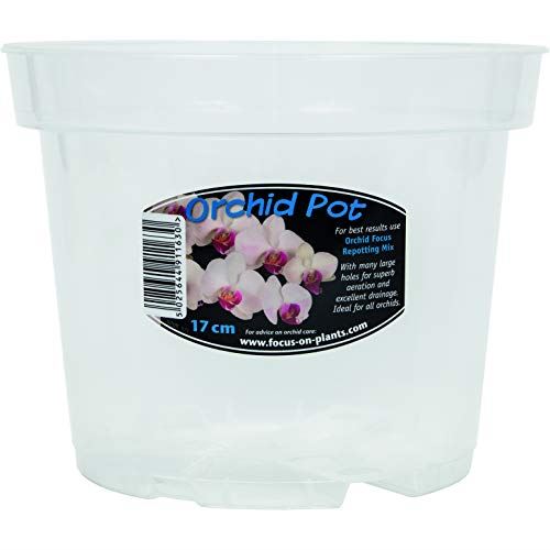 Growth Technology Clear Orchid Pot