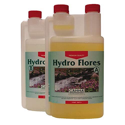 Canna Hydro Flores