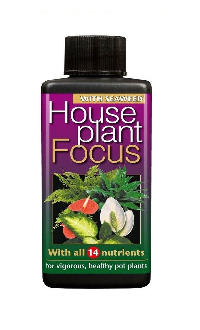 Growth Technology HousePlant focus