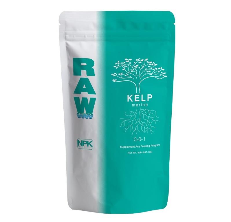 RAW Kelp