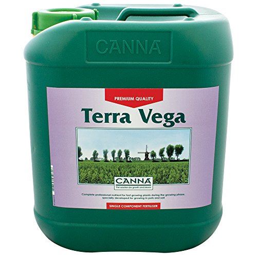 Canna Terra Vega