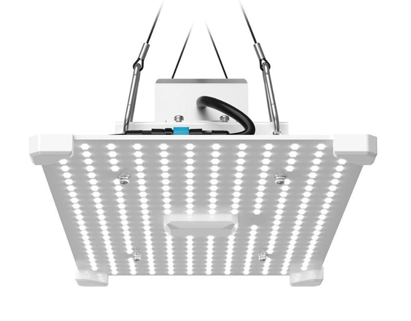 LUMii Black Blade 100W LED Grow Light