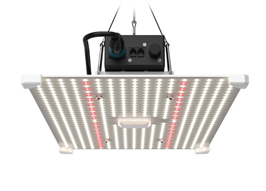 LUMii Black Blade 100W LED Grow Light