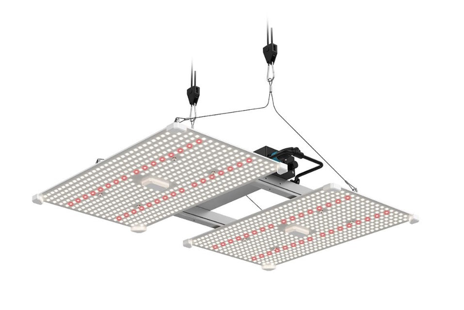 LUMii Black Blade 100W LED Grow Light