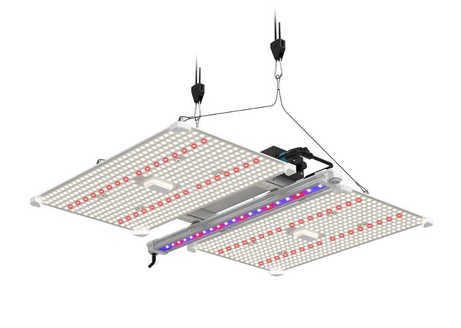 LUMii Black Blade 100W LED Grow Light