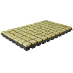 Grodan Tray 77 Piece Tray Hydroponic Growing Rockwool Cubes