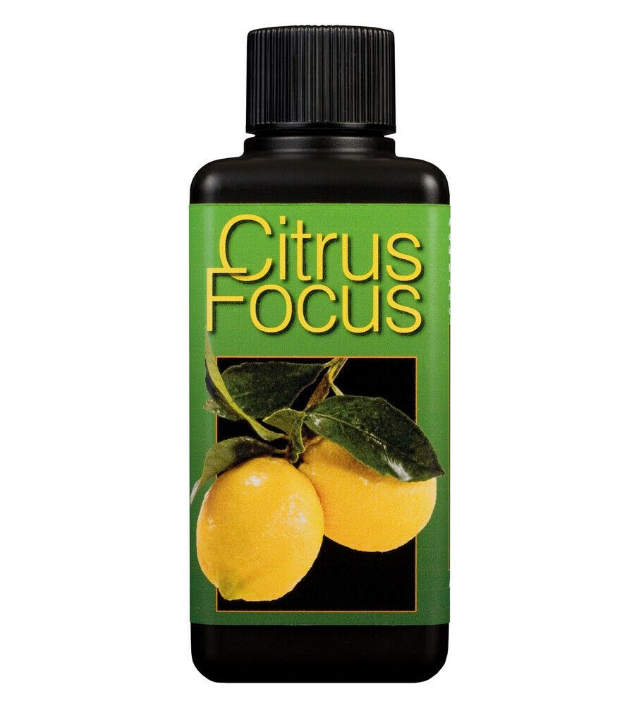 Growth Technology Citrus Focus