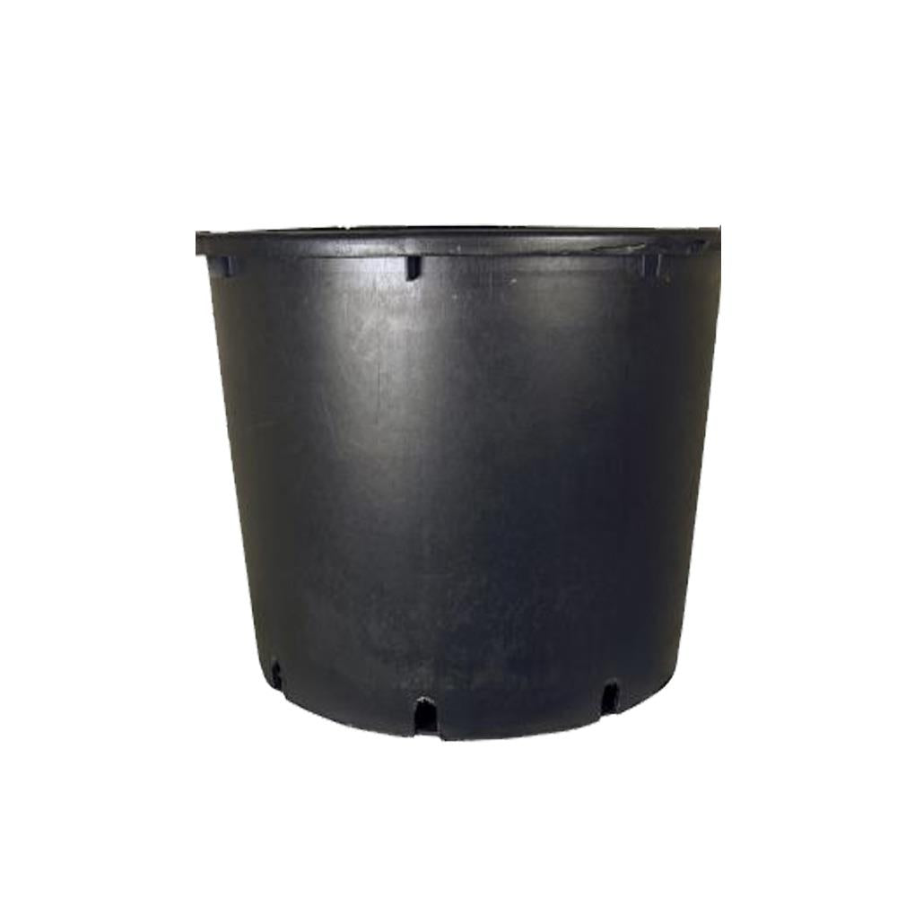 Senua Round plastic pot