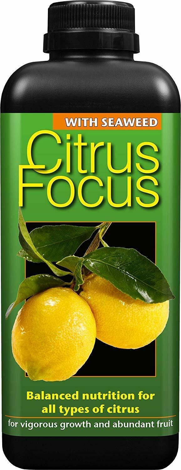 Growth Technology Citrus Focus