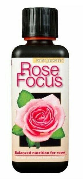 Growth Technology Rose Focus 300ml