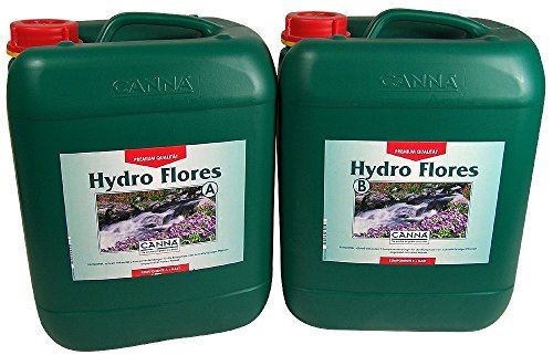 Canna Hydro Flores