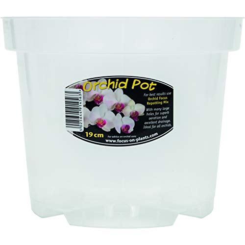 Growth Technology Clear Orchid Pot