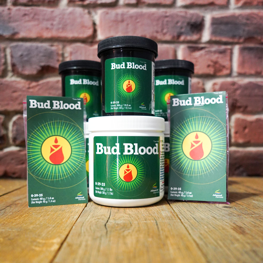 Advanced Nutrients Bud Blood