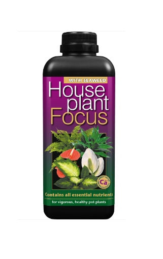 Growth Technology HousePlant focus