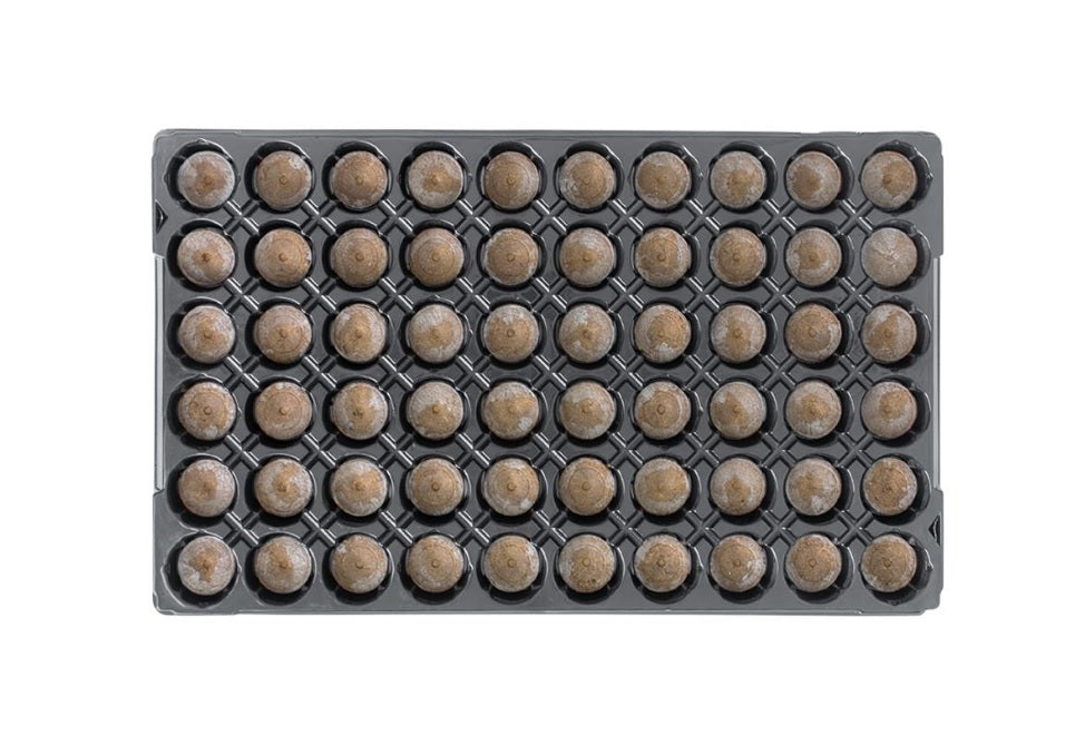 Jiffy-7 Plugs - 60 Cell Filled Tray