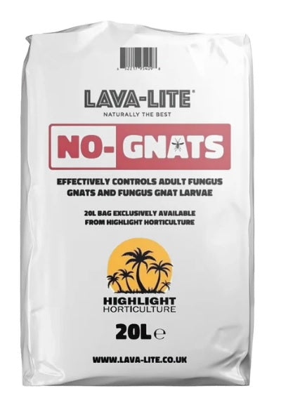 Lava Lite No Gnats