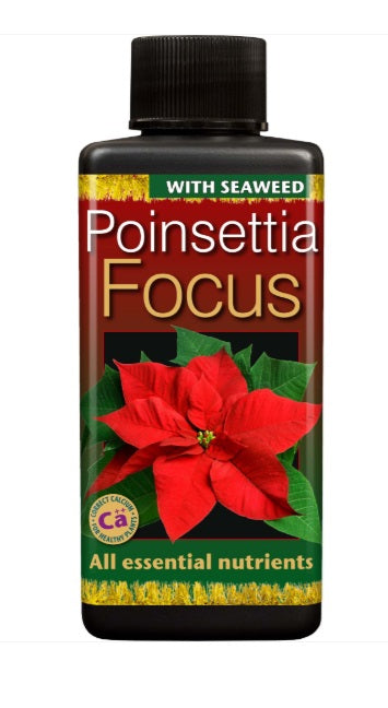 Growth Technology Poinsettia Focus